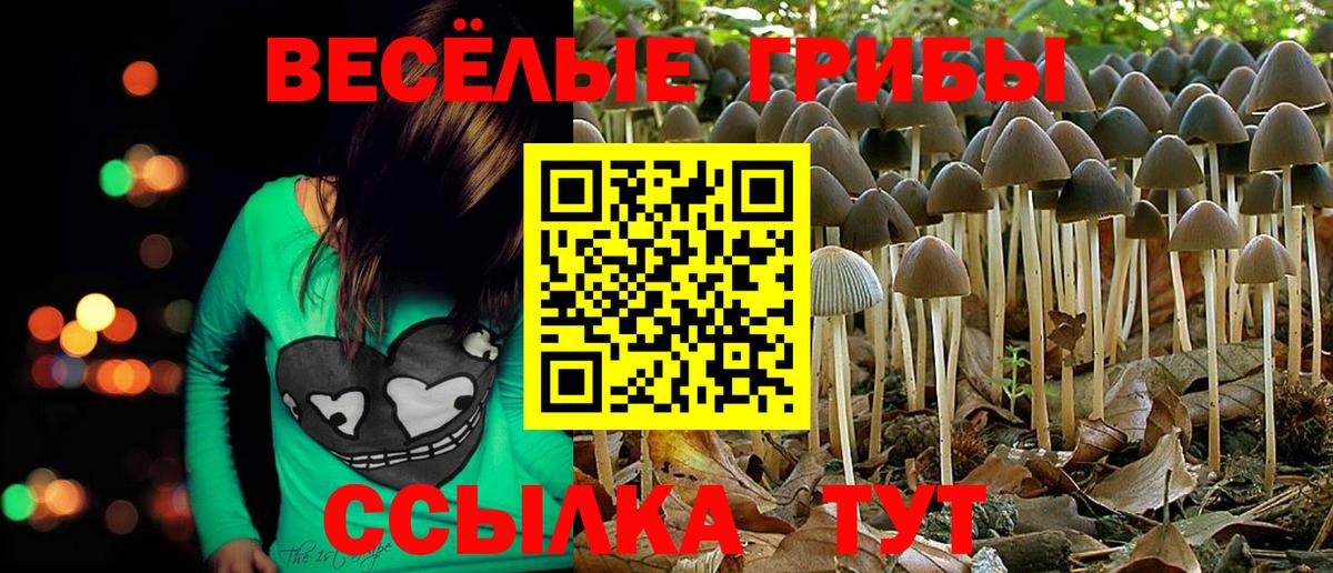 Псилоцибиновые грибы ЛСД  Вход с VPN  Сокол  Галлюциногенные грибы мухоморы 
